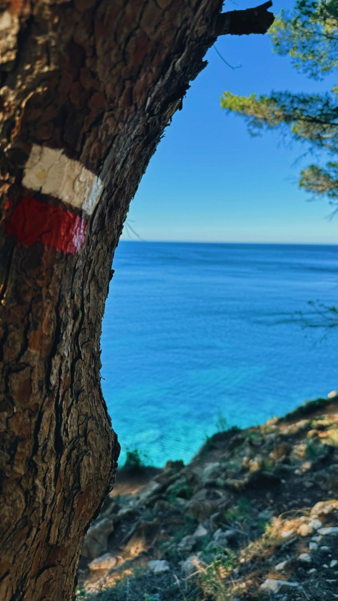 Can Romy Appartement T3 B - A 20M De La Plage De Cala Montgo L' Escala Exteriér fotografie